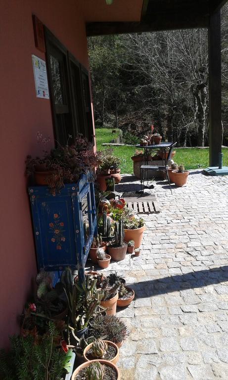 Eco Camping Juncal Hotell Marco de Canavezes Eksteriør bilde