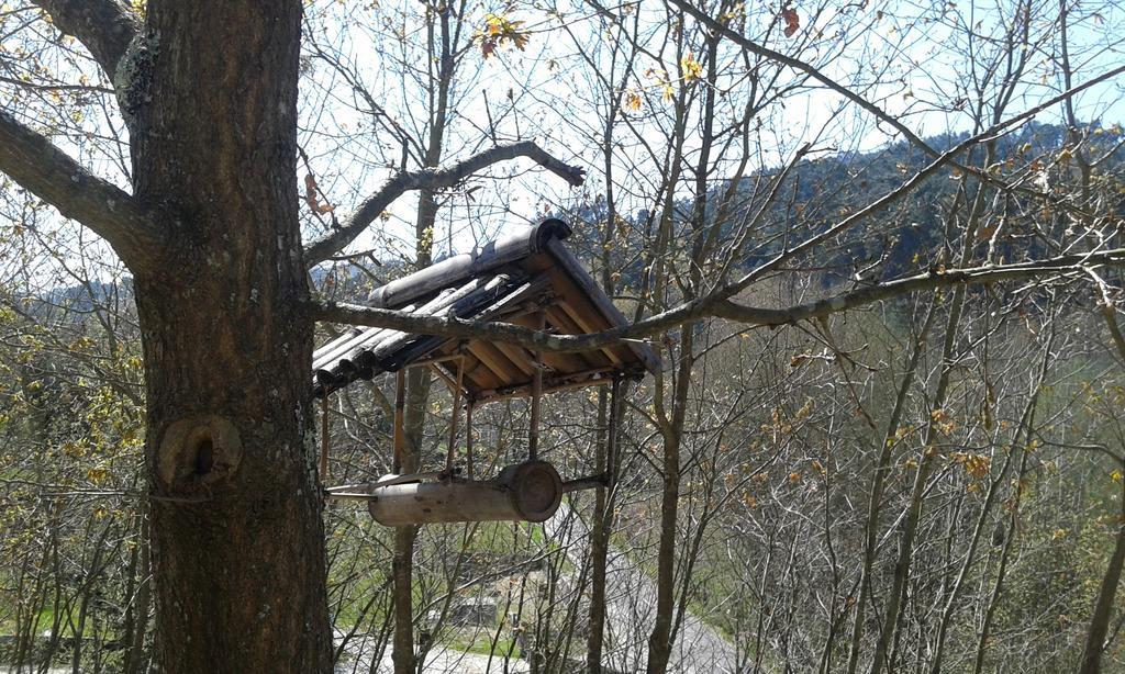 Eco Camping Juncal Hotell Marco de Canavezes Eksteriør bilde