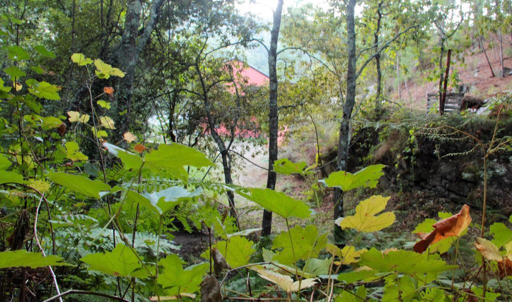 Eco Camping Juncal Hotell Marco de Canavezes Eksteriør bilde