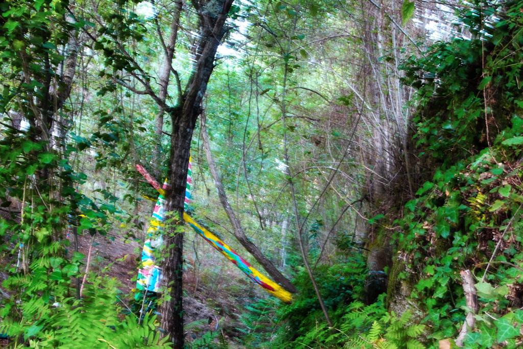Eco Camping Juncal Hotell Marco de Canavezes Eksteriør bilde